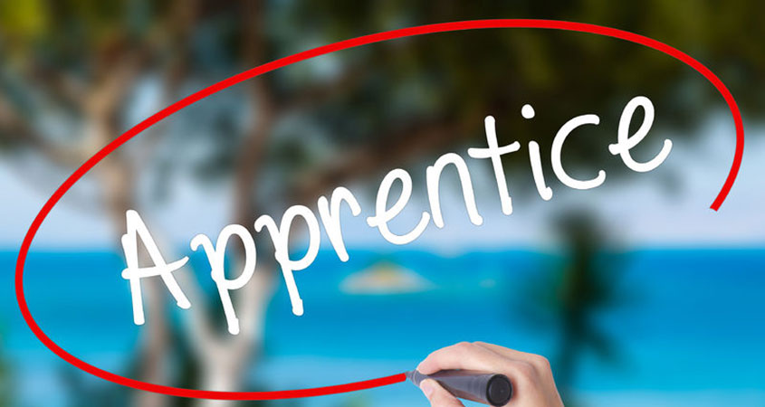 Intermediate Level Apprenticeship