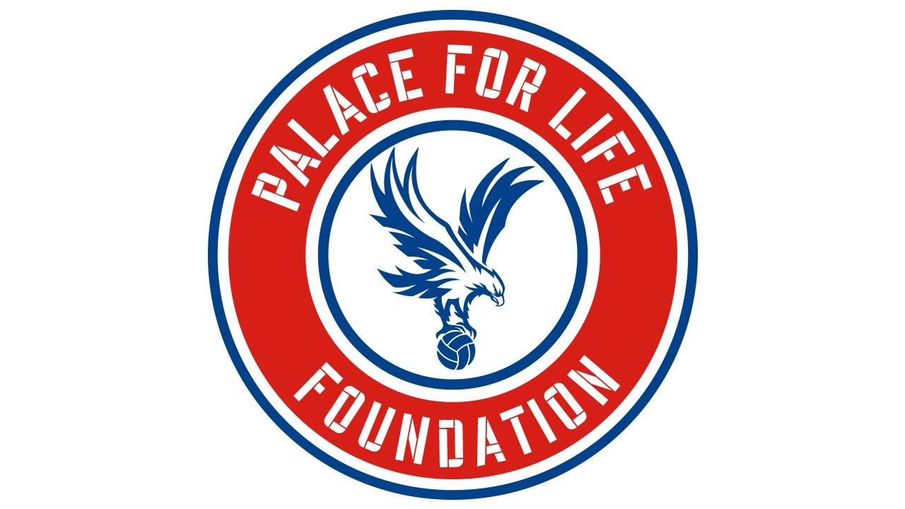 palace for life foundation