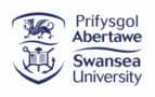 swansea university